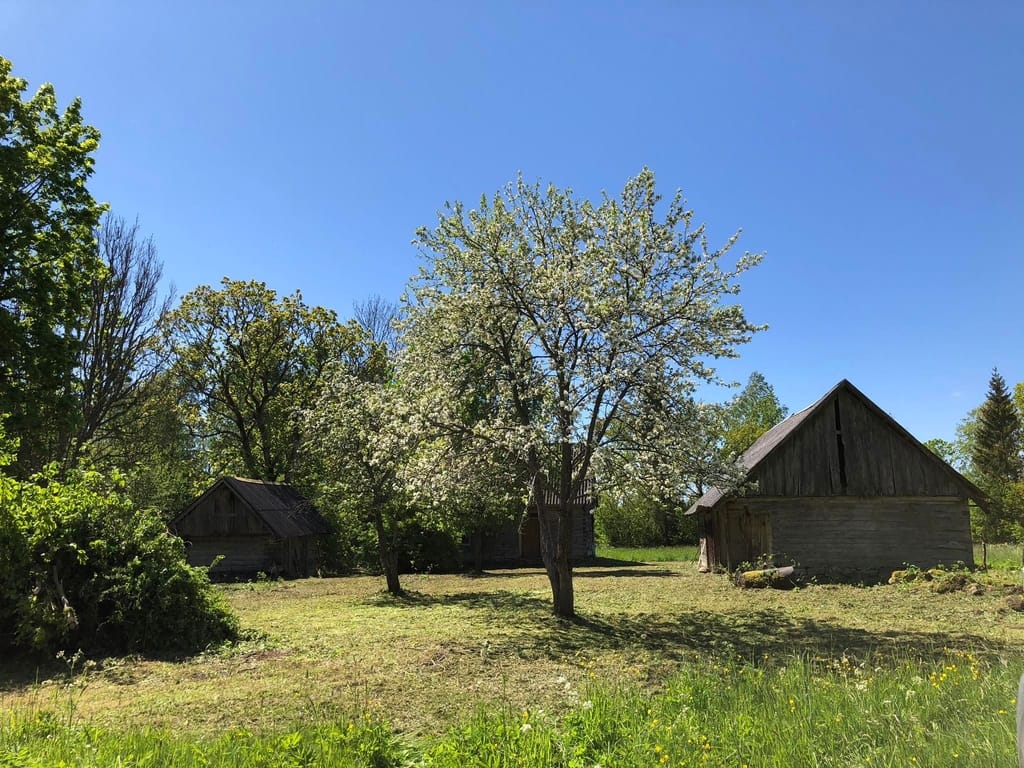 MS Works kinnisvarahaldus ja heakorrastustööd